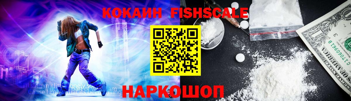 Cocaine Fish Scale  Вход с VPN  Ярцево 