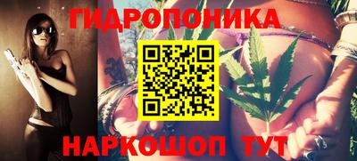 дурь Камышлов
