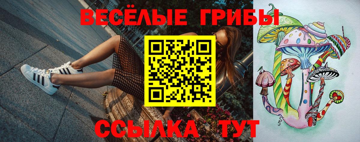 Псилоцибиновые грибы Psilocybe  Псилоцибиновые грибы мухоморы  как найти закладки  Вход с VPN  Ярцево 