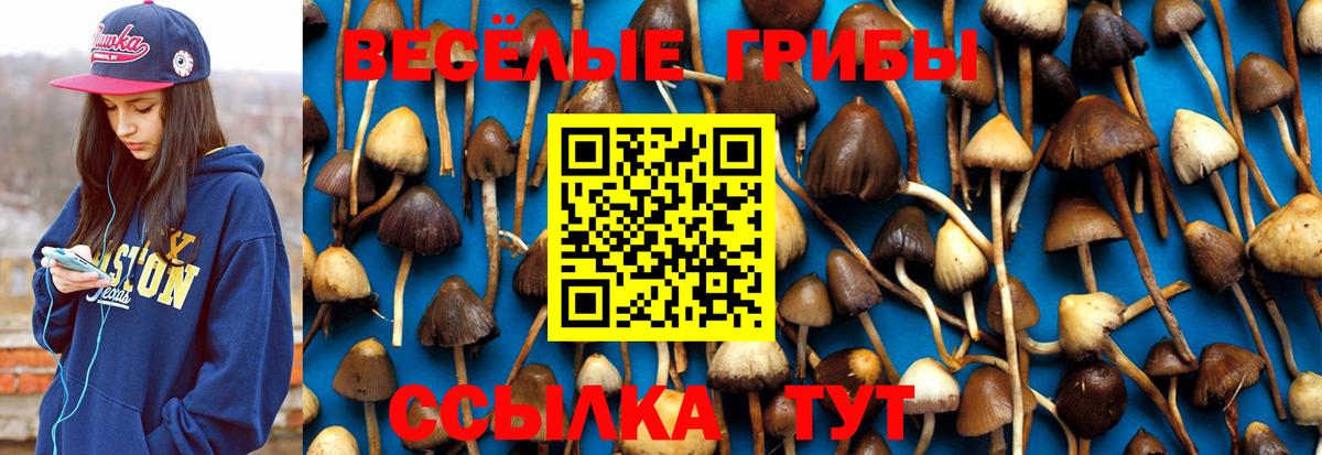 Галлюциногенные грибы GOLDEN TEACHER Ярцево